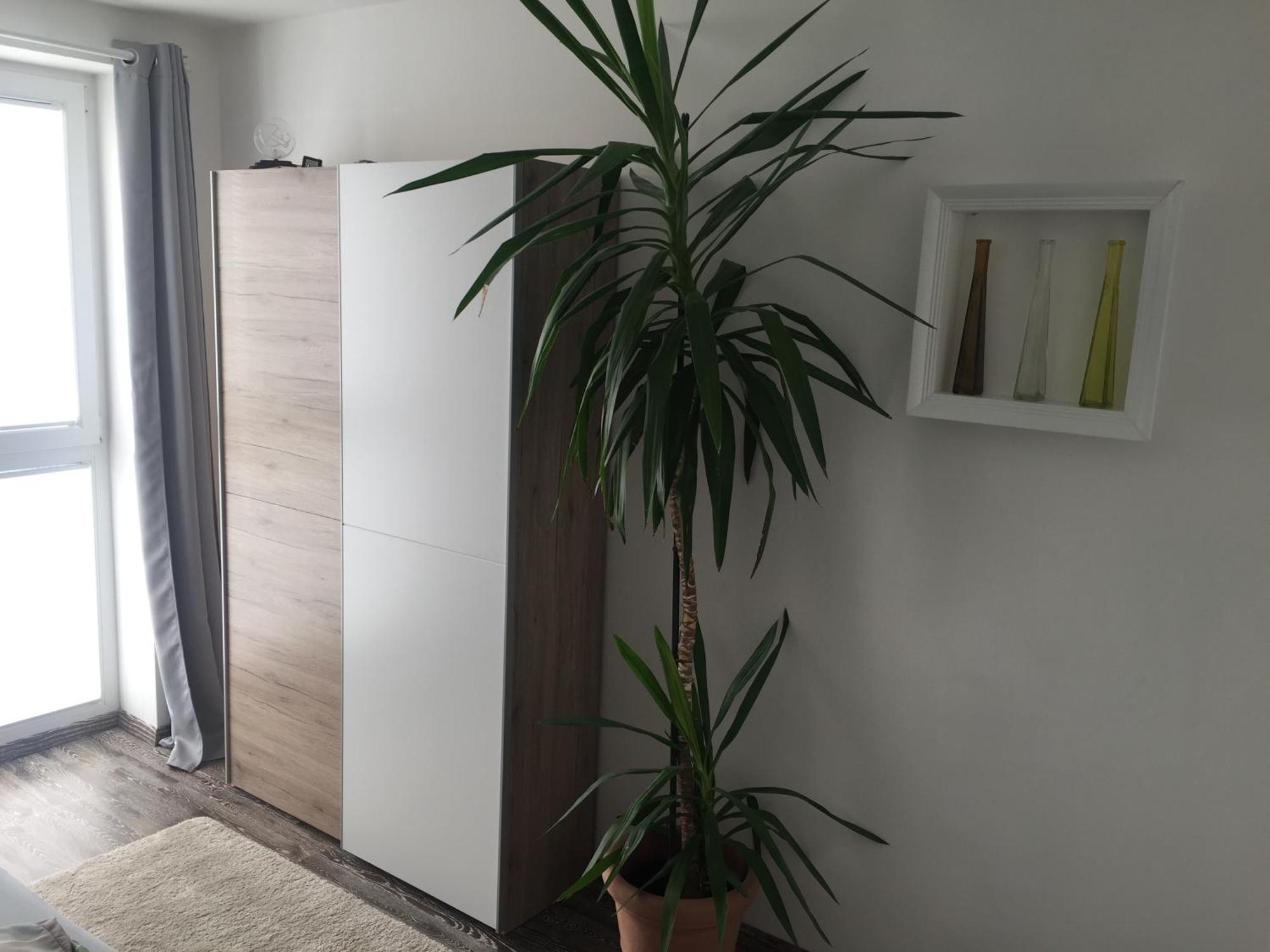 Ferienwohnungen Nahrstedt Waldeck  Ngoại thất bức ảnh